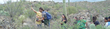 Students Using Radio Telemetry to Track Tortoises